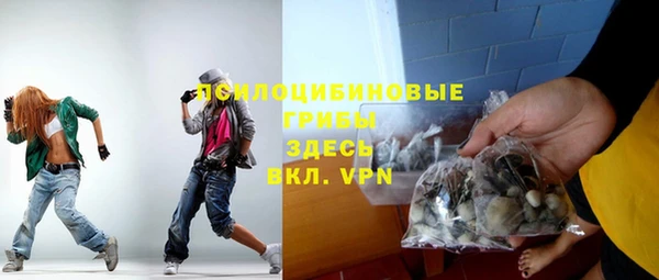 СК Богородицк