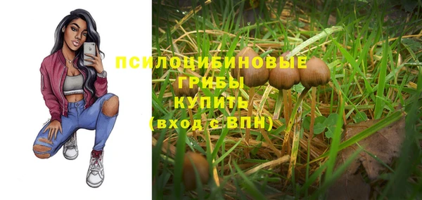 не бодяженный Богородск